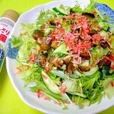 きゅうりのキューちゃんと水菜レタス桜海老のサラダ